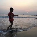 杨艳敏