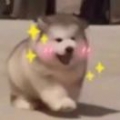 吴晓纯