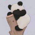 梁晓晴
