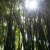 宇红 yuhong