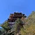 岳少园