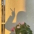 张梦飞