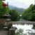 高巧珍