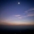 陈露