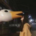王心诺