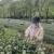 杨女士