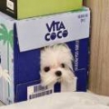 李琬晴