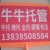 牛丽敏