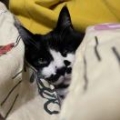 老随
