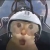 钱俊辰