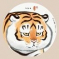 沈瑛樱