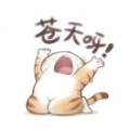 张于晓