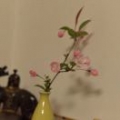 李莉
