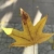 朱美静