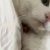 李梦凡